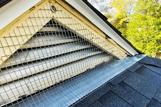 keep animals out of attic